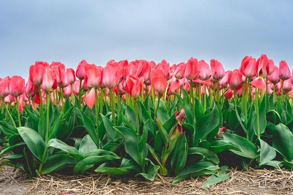 Ravalement de façade à marseille : guide pour une rénovation personnalisée