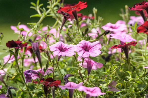 Transformez votre nid avec du linge de lit haut de gamme