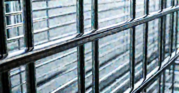 Fabricant de garde-corps : solutions sur mesure en inox pour votre sécurité